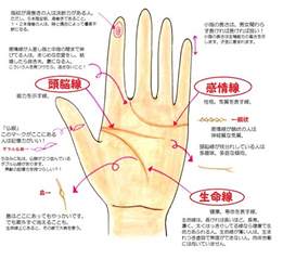 指相|手相を見るときの『指』について